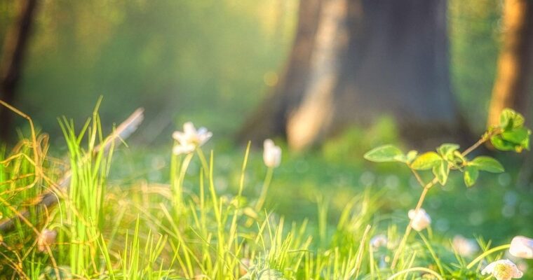 Vita・Historia ひと・ものがたり　福士恭子ピアノリサイタル 　Kyoko Fukushi Piano Recital