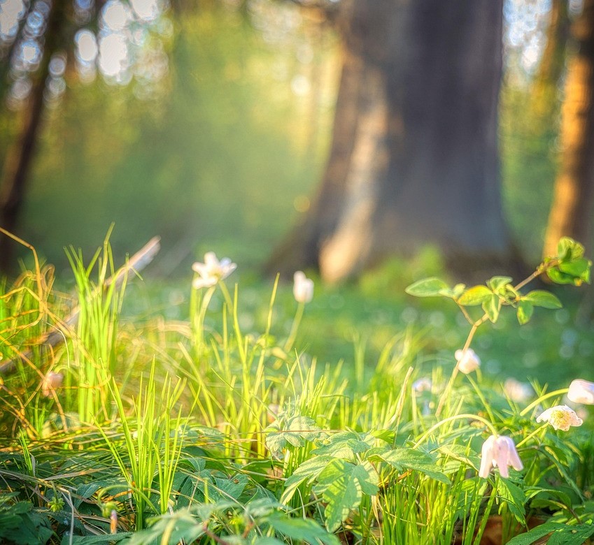 Vita・Historia ひと・ものがたり 福士恭子ピアノリサイタル Kyoko Fukushi Piano Recital