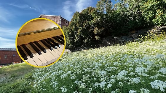 フィンランドを、奏でる。小さなサロンコンサート